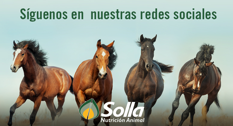 (c) Solla.com