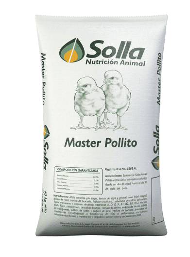 MASTER POLLITO - Solla MASTER POLLITO - Solla