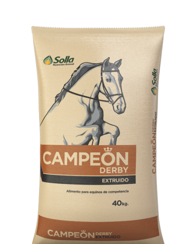 Campeon-Derby-Extruido_0 (1)