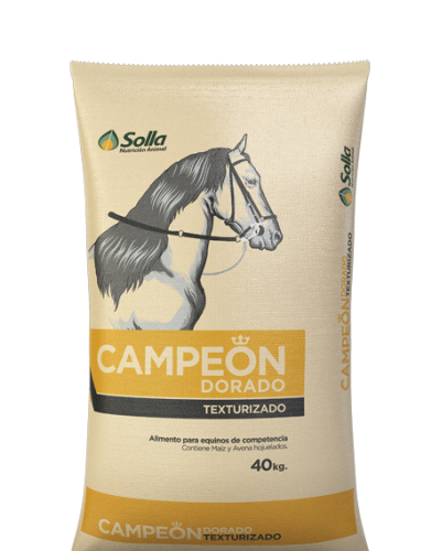 Campeon-Dorado-Texturizado_0 (1)