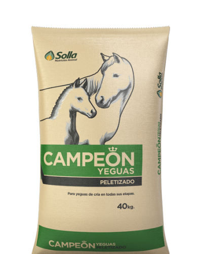 Campeon-Yeguas-Peletizado (1)