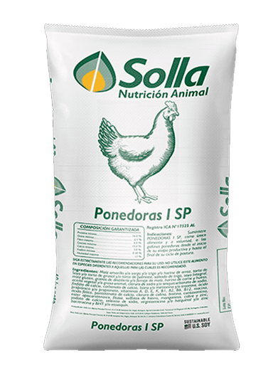 Ponedoras I SP 1 - Postura Solla
