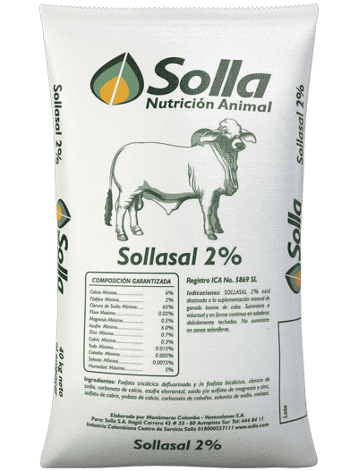 Sollasal 2 - Sales Mineralizadas Solla