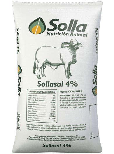 Sollasal 4 - Sales Mineralizadas Solla