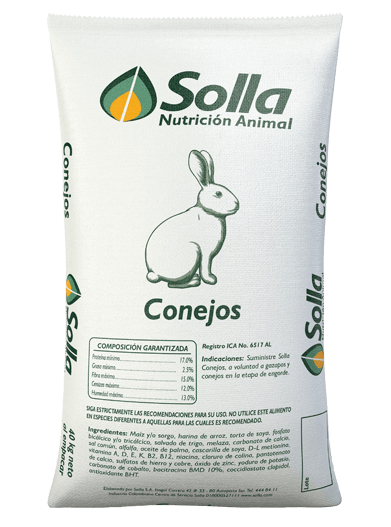 conejo solla 2 - Conejos Solla