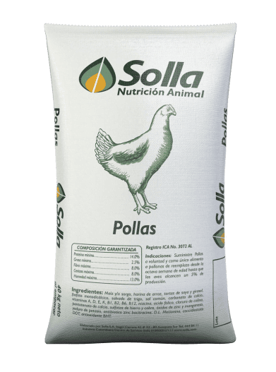 pollas - Postura Solla