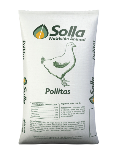 pollitas - Postura Solla