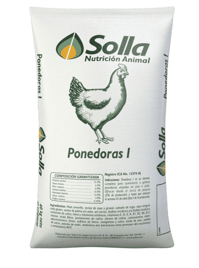 ponedoras 0 - Postura Solla