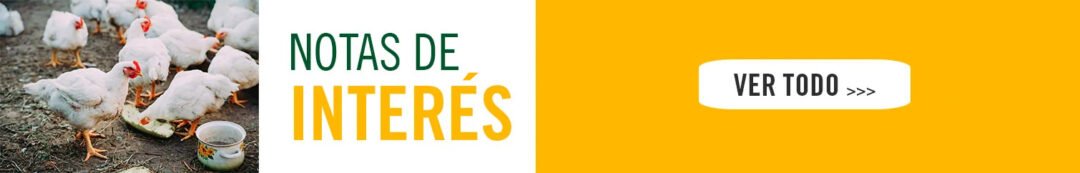 banner2-1