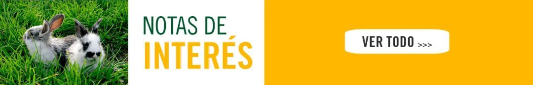 banner6-1