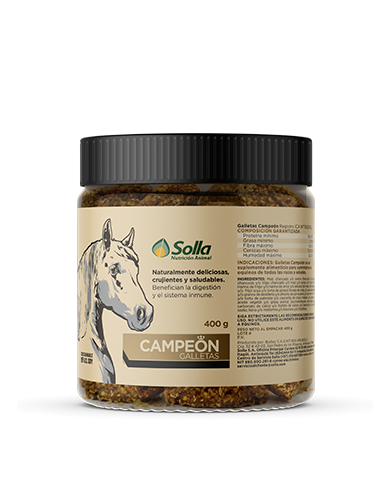 Campeon-galletas