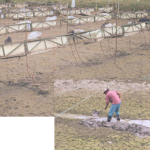 Solla-indices-de-productividad-para-acuicultura Solla-indices-de-productividad-para-acuicultura